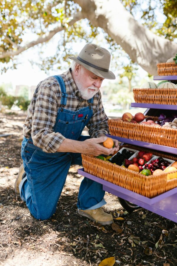 Senior farmer arranging fresh produce baskets at an outdoor market stall on a sunny day.